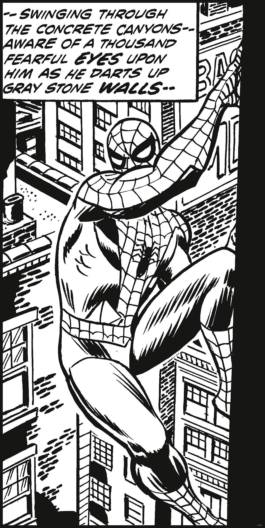 1004x2000 Spider Man Classic Climb