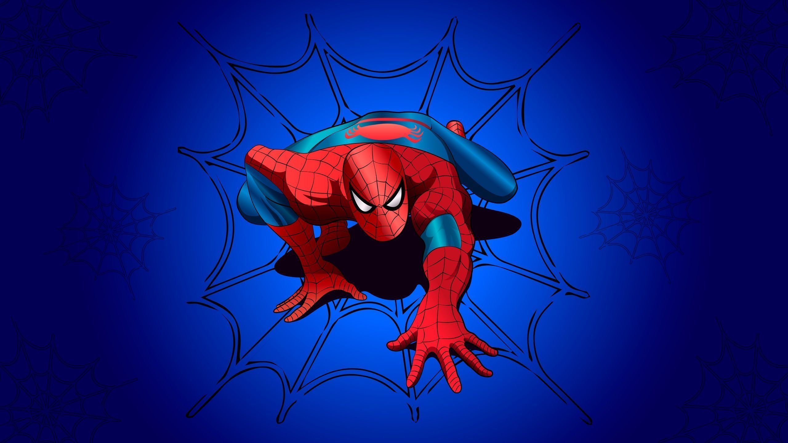 2560x1440 Spider Man Wallpaper 4K, Blue Background