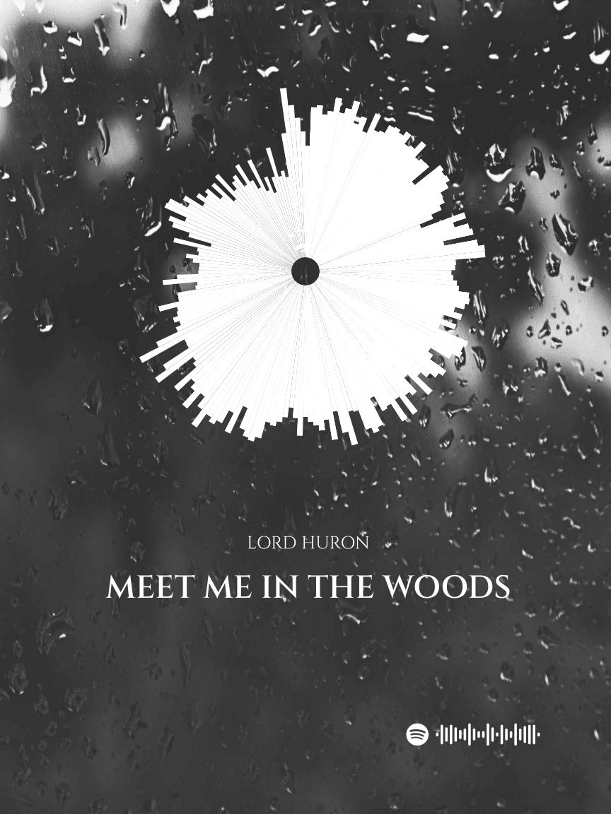 864x1152 Lord Huron Night We Met