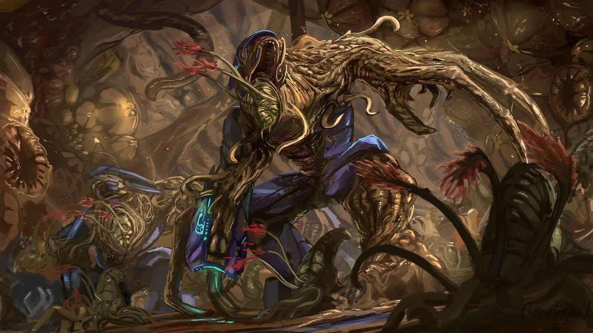 1191x670 Halo Flood Wallpaper