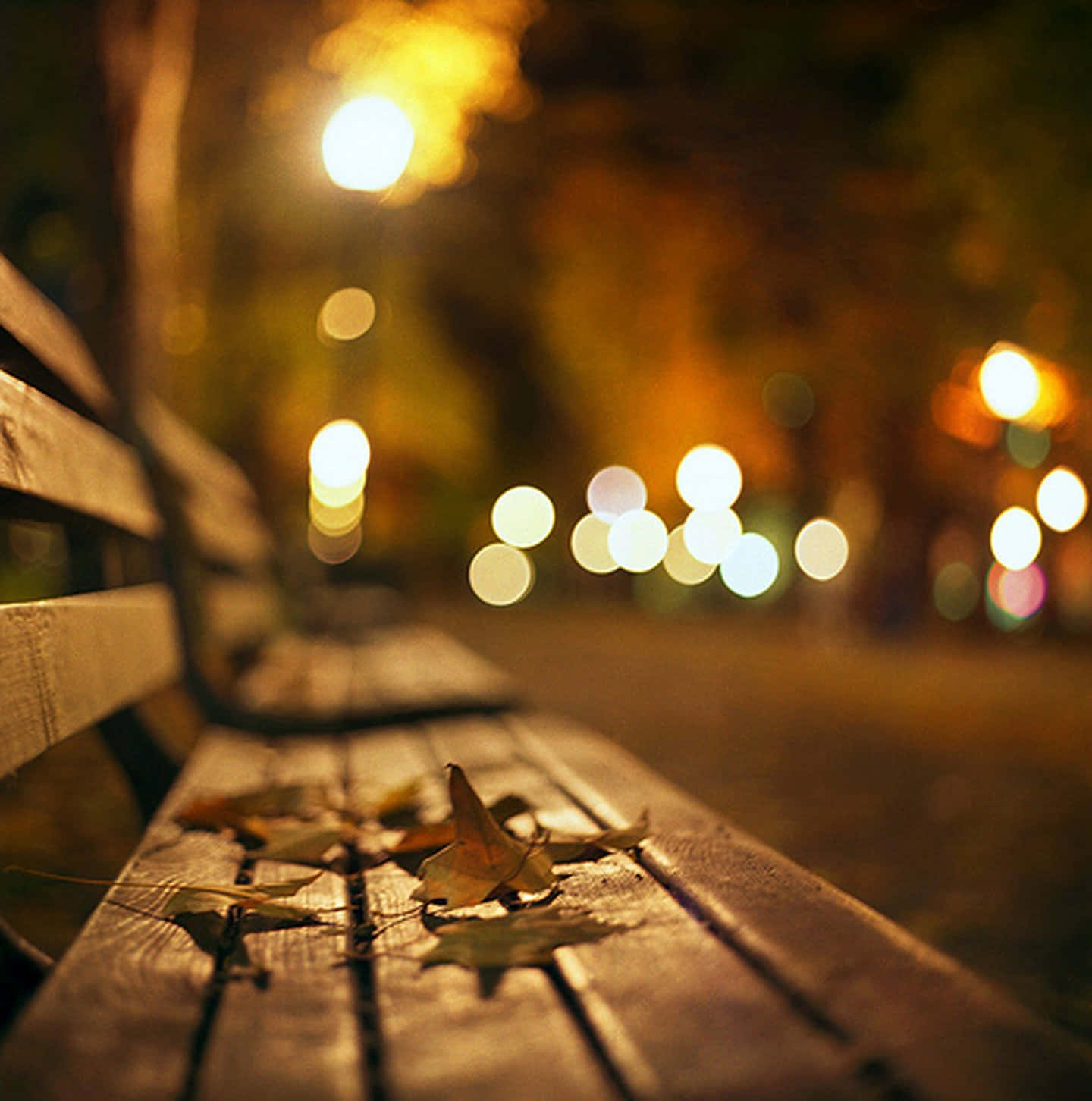 1440x1452 Download Autumn Street Light Wallpaper