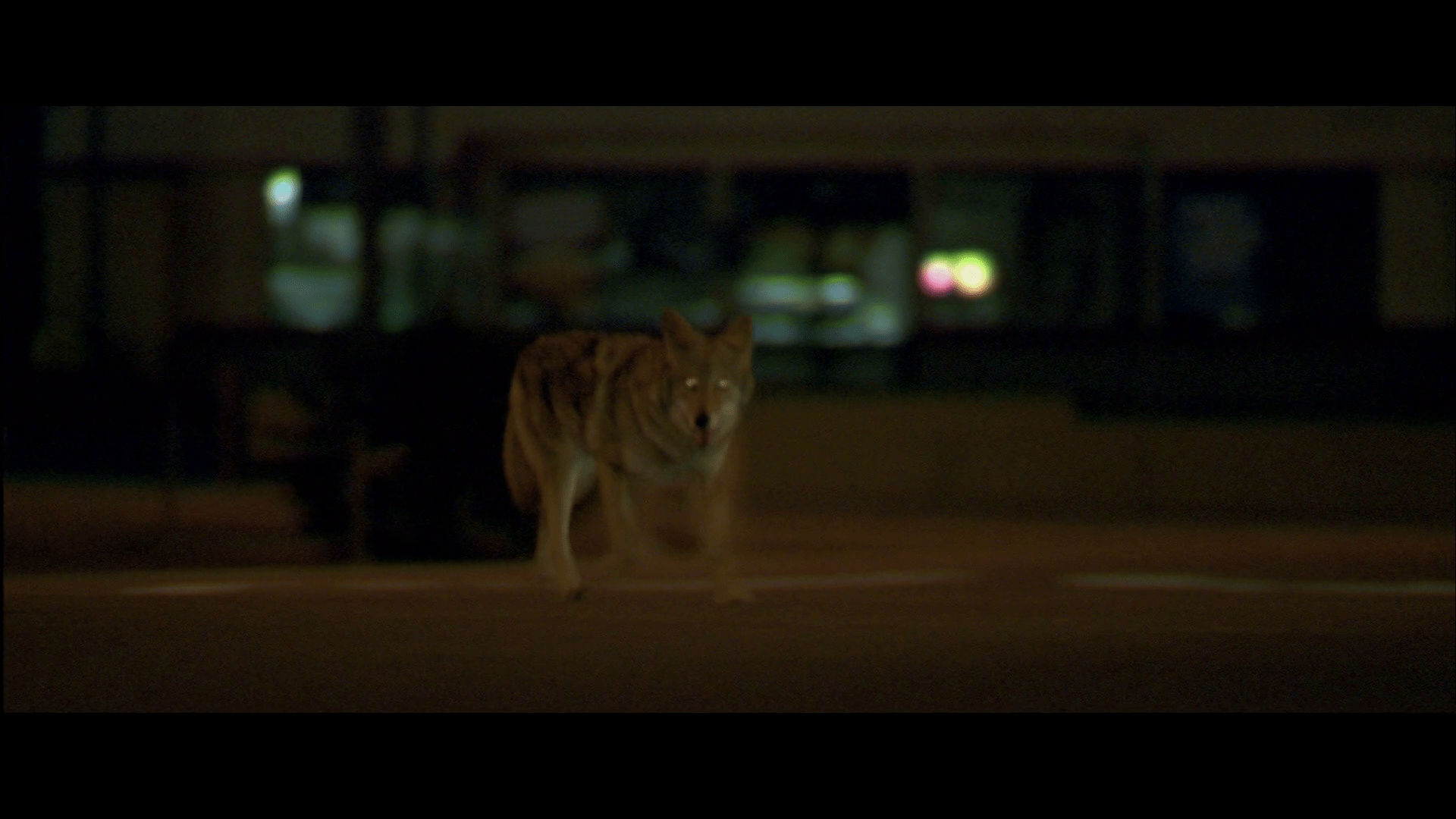 1920x1080 Collateral (2004)