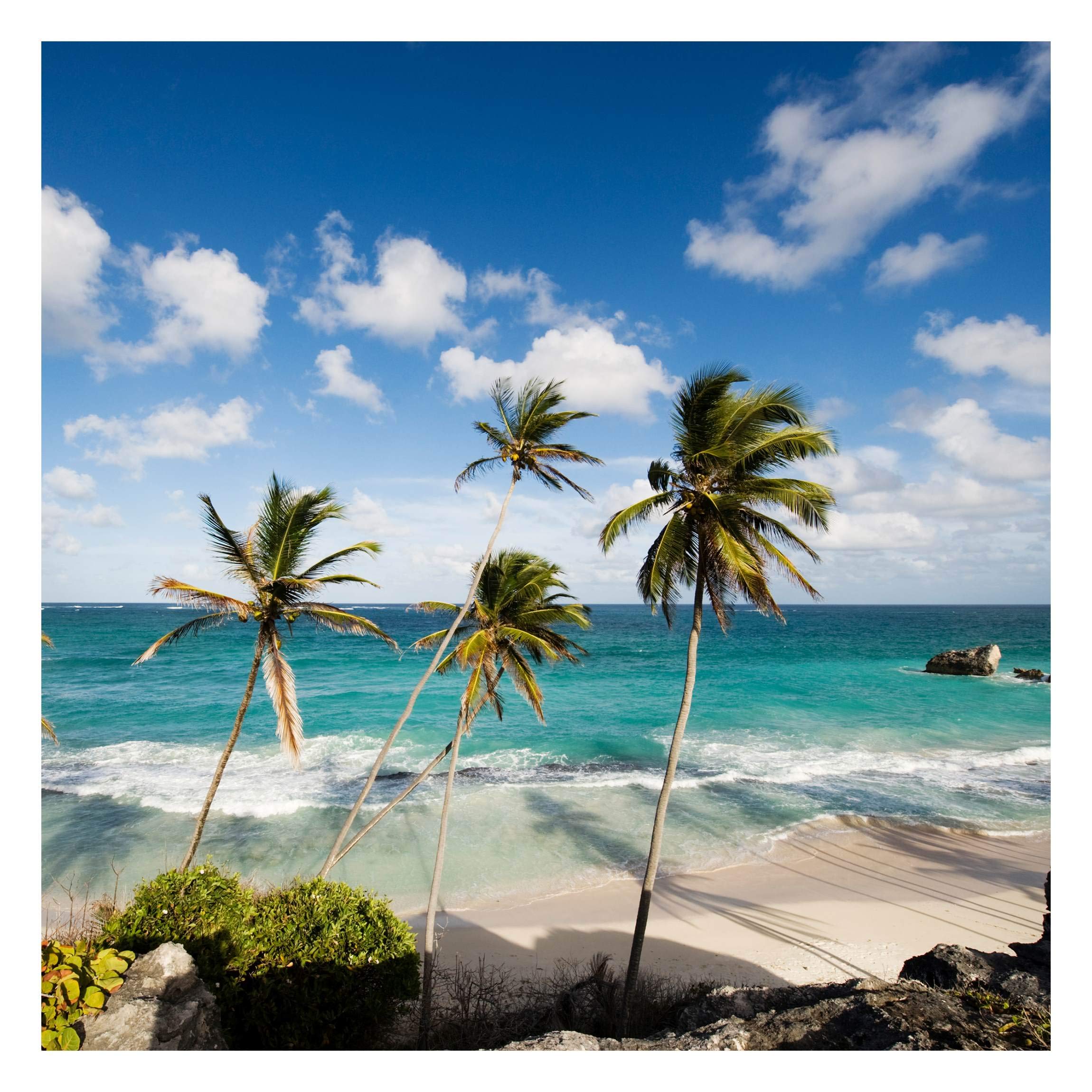 2300x2300 Non Woven Wallpaper Of Barbados Square Wallpaper Wall Mural Photo Feature Wall Art Wallpaper Murals Bedroom Living Room