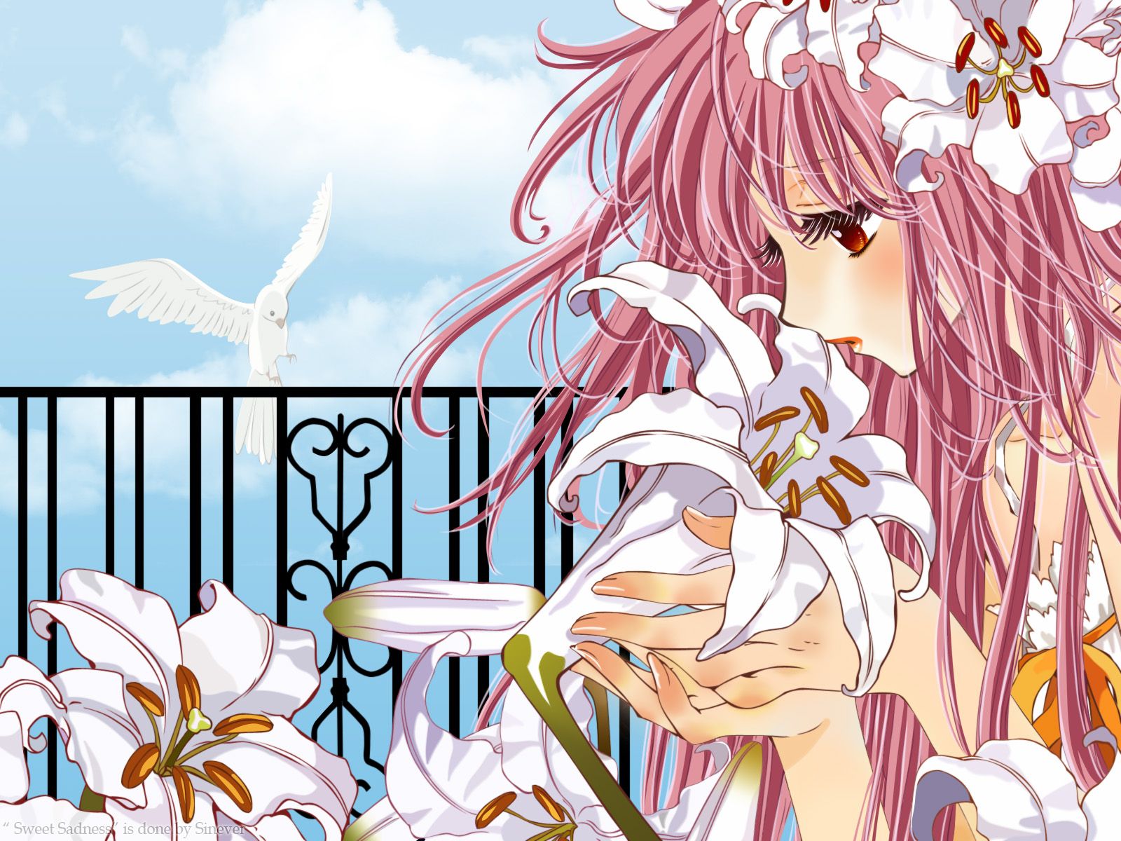 1600x1200 clamp hanato kobato kobato vector. konachan.com.com Anime Wallpaper