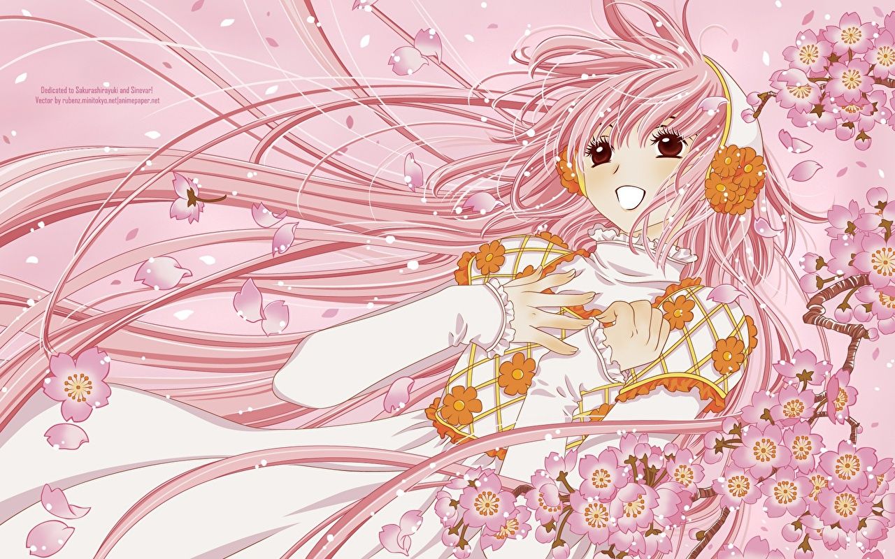 1280x800 Photo Kobato Anime
