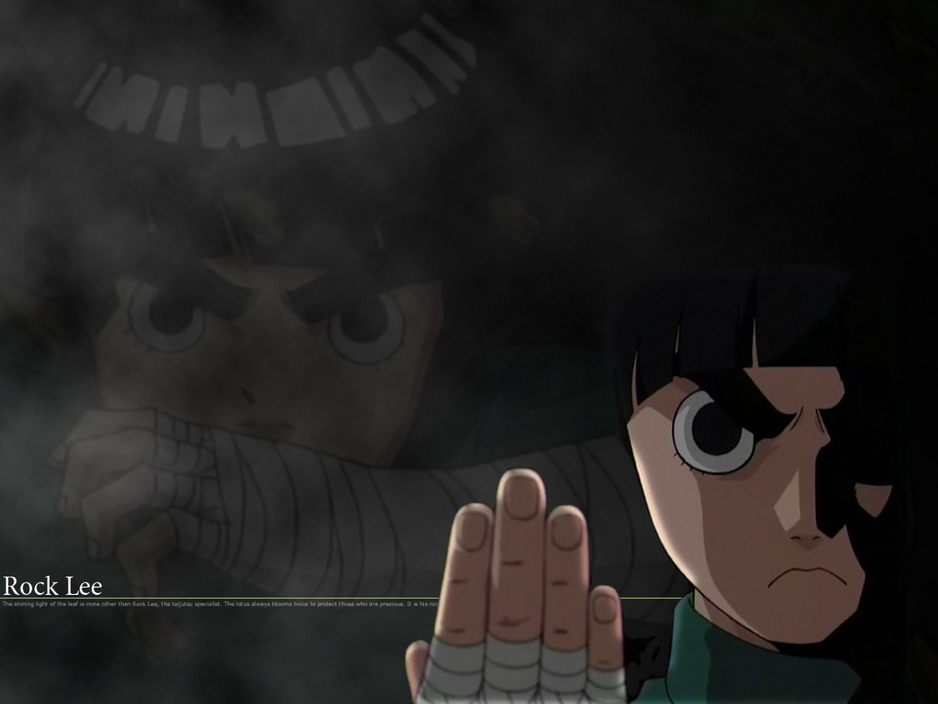 1920x1440 Rock Lee HD Wallpaper and Background
