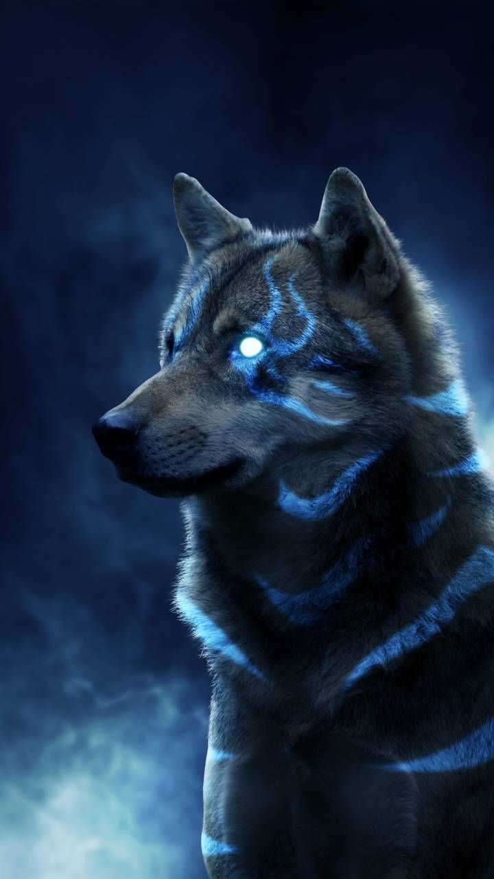 720x1280 Download lone wolf wallpaper by hasaka now. Browse millions of popular animal Wallpaper and Ringt. Wolf wallpaper, Lone wolf, Wolf picture