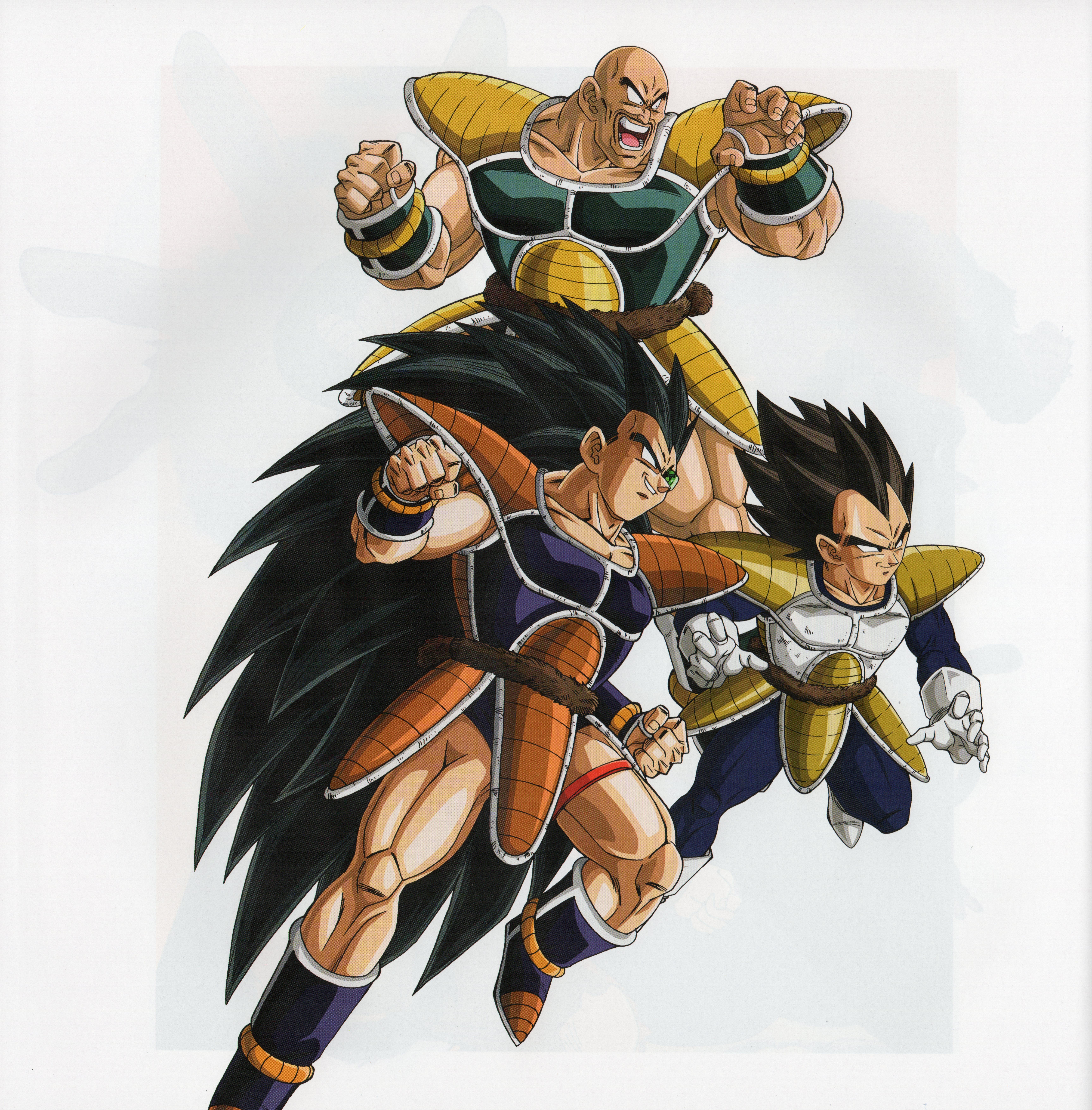6906x7020 Raditz and Scan Gallery