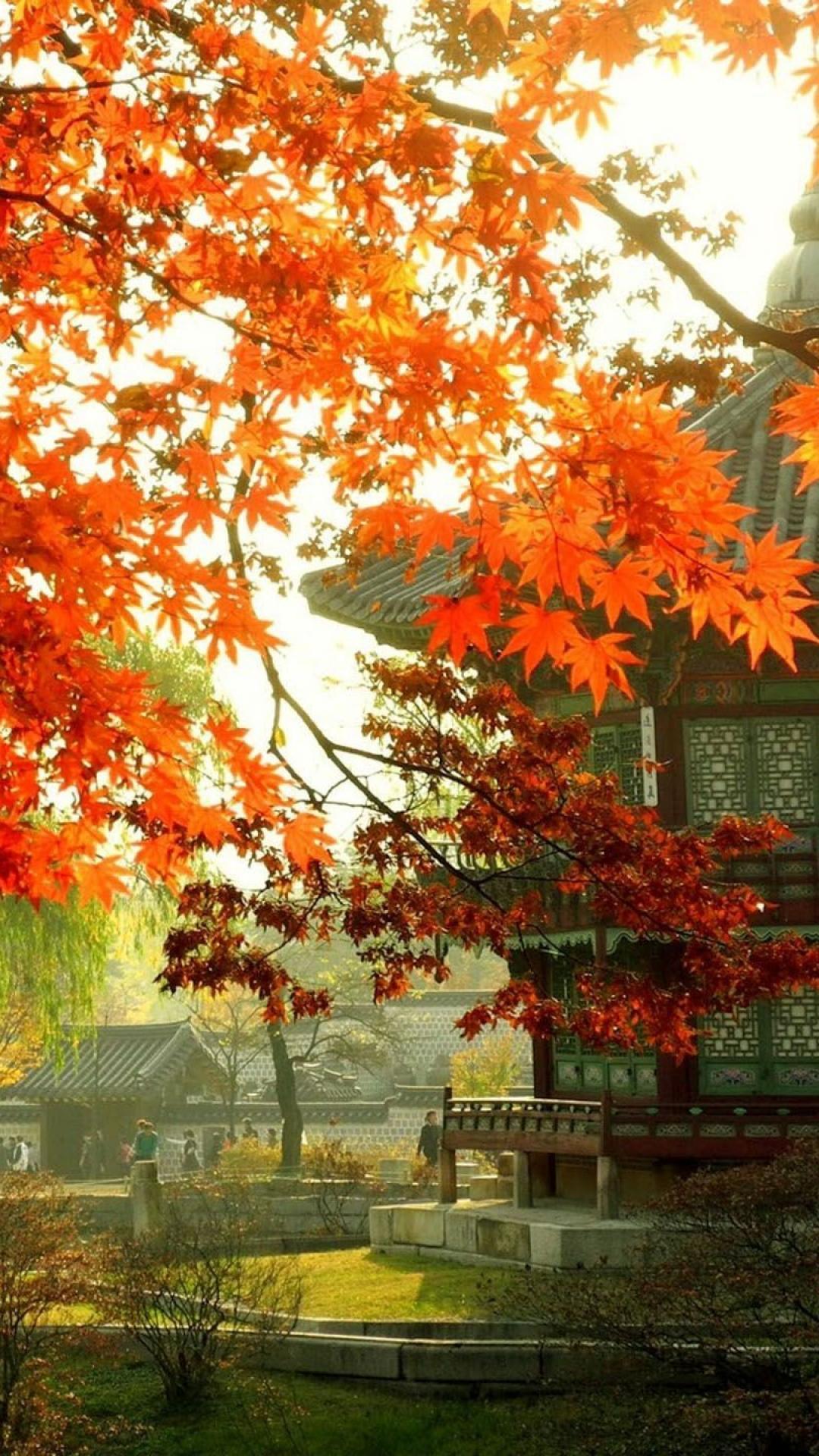1080x1920 Japan seoul south korea destination wallpaper