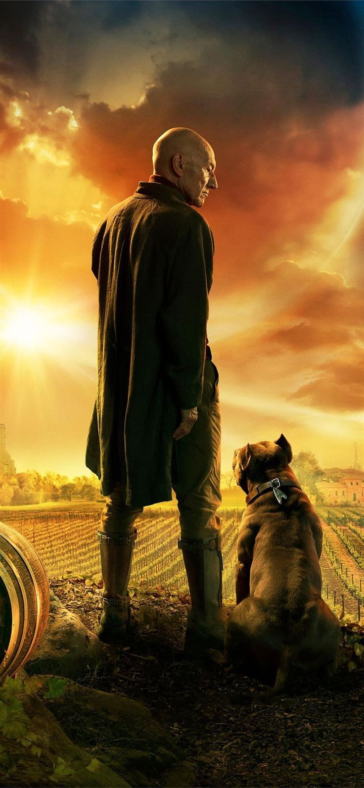 736x1592 Free download the Star Trek Picard Awesome Free HD wallpaper , beaty your iphone. #Serena Willi. Star trek wallpaper, Picard star trek, Star trek wallpaper iphone
