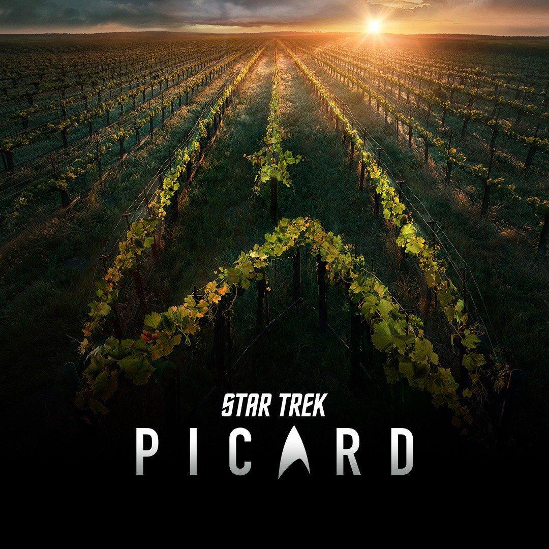 1080x1080 Star Trek: Picard Wallpaper