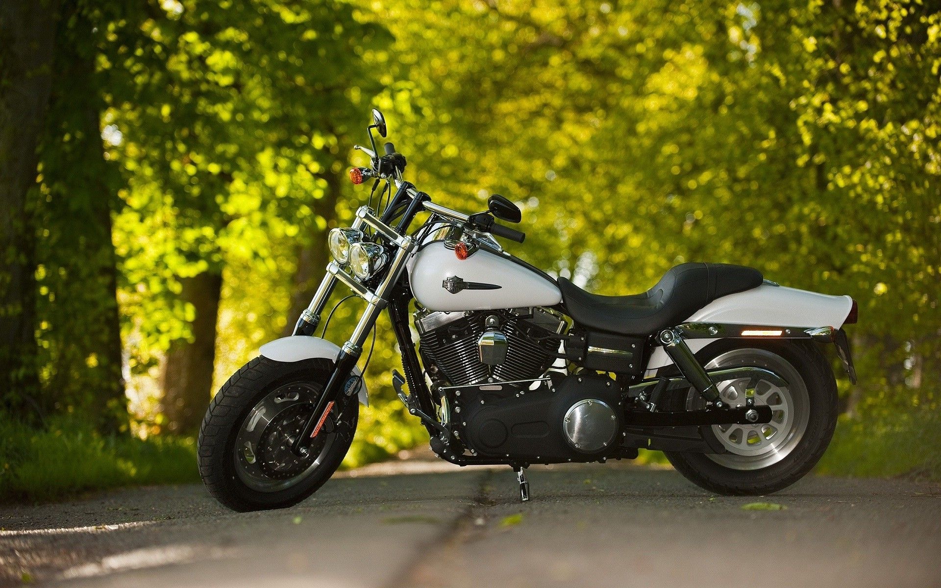 1920x1200 Harley Davidson Bikes Wallpaper