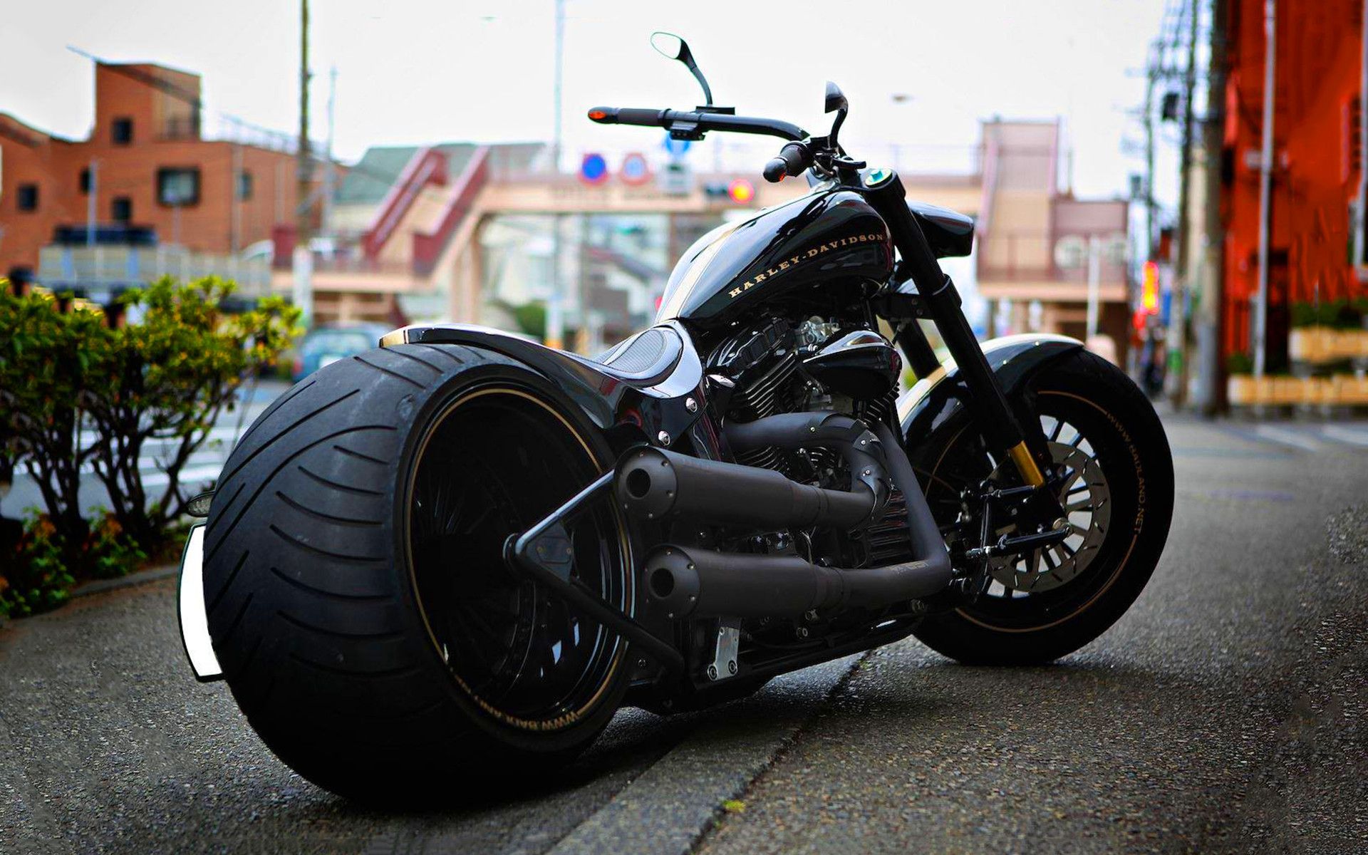 1920x1200 Harley Davidson Bikes Wallpaper