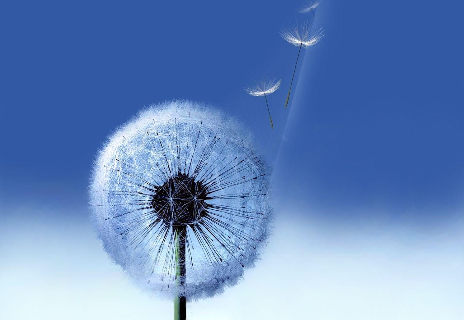 1491x1030 wallpaper: Wallpaper Samsung Galaxy Note 2