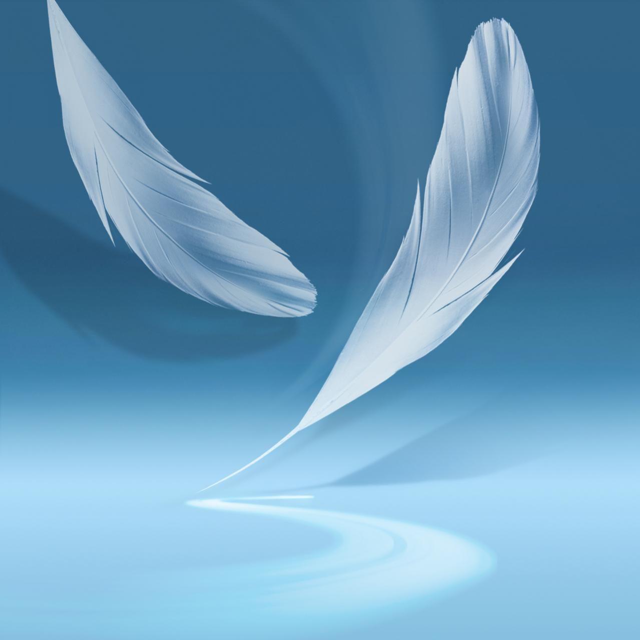 1279x1279 wallpaper: Wallpaper Samsung Galaxy Note 2