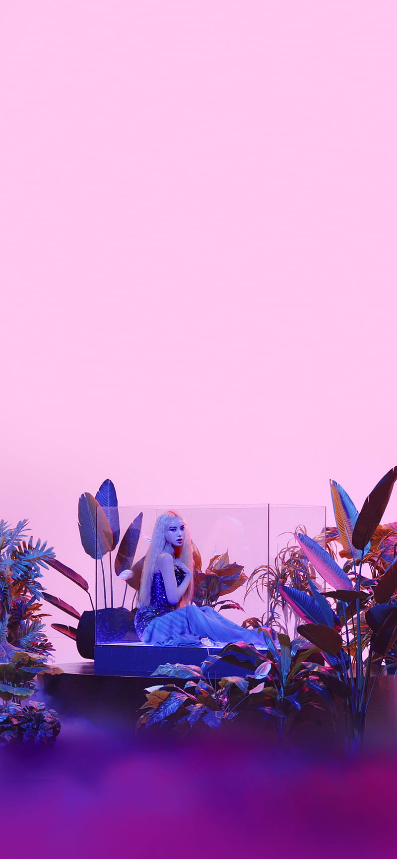 800x1732 HD jinsoul wallpaper