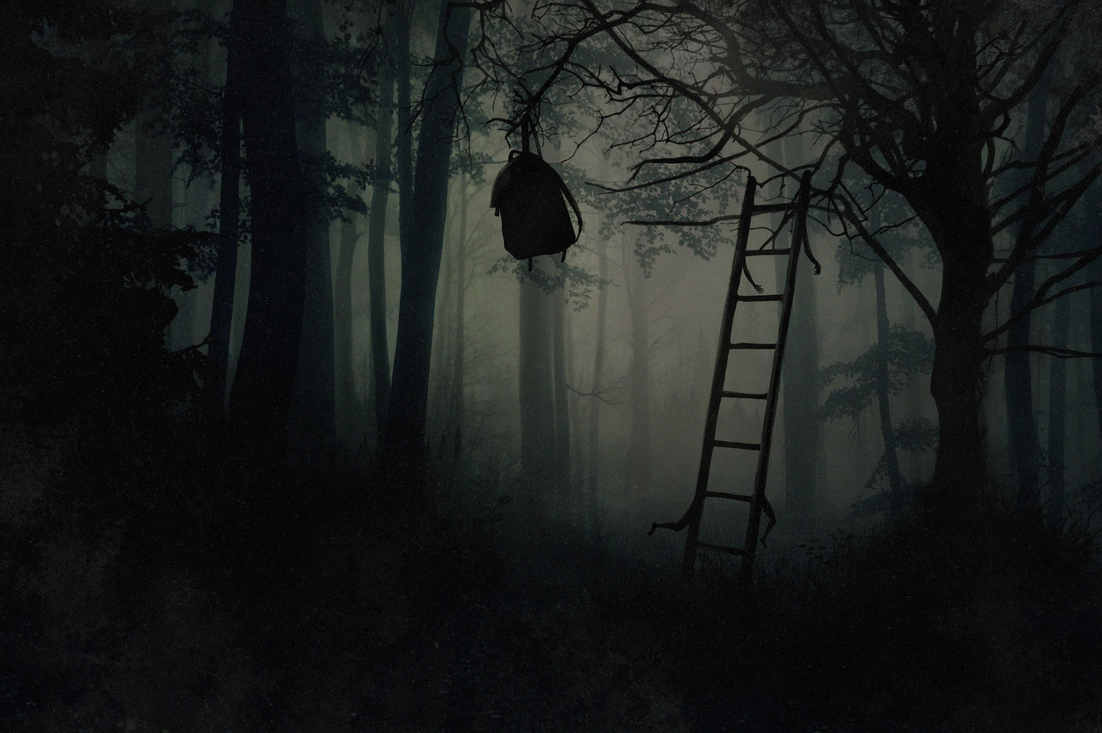 3687x2454 Ominous / Spooky ideas. ominous, forest wallpaper, dark forest