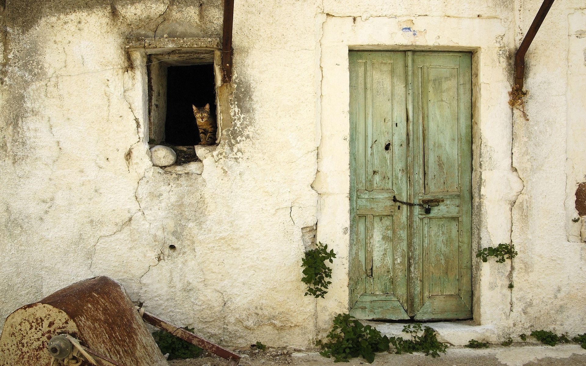 1920x1200 Old Doors HD wallpaper