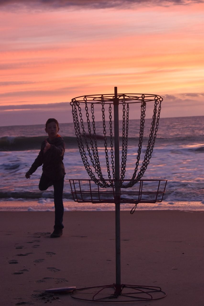 853x1280 Disc Golf Basket Frisbee