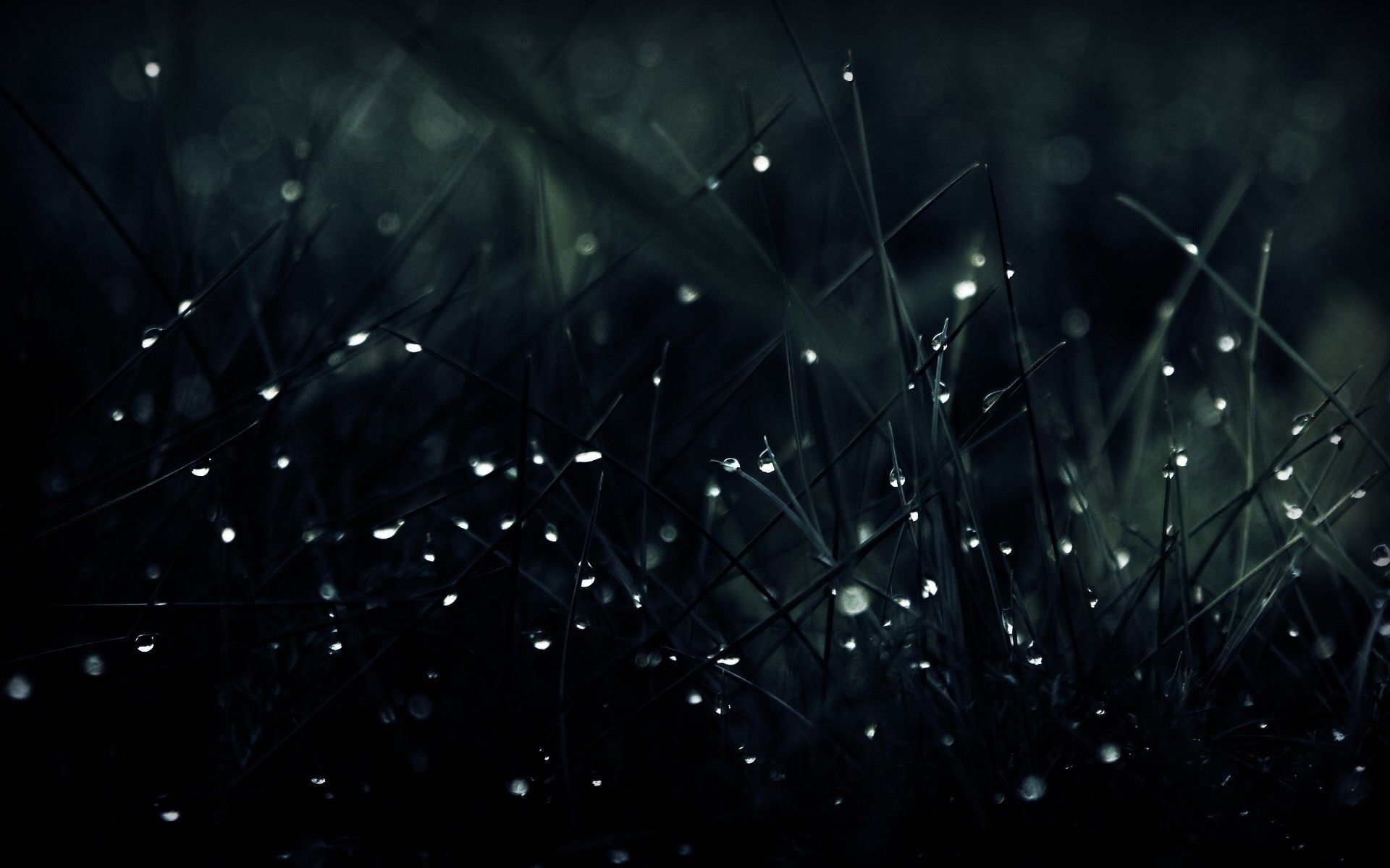 1920x1200 Best Desktop Wallpaper