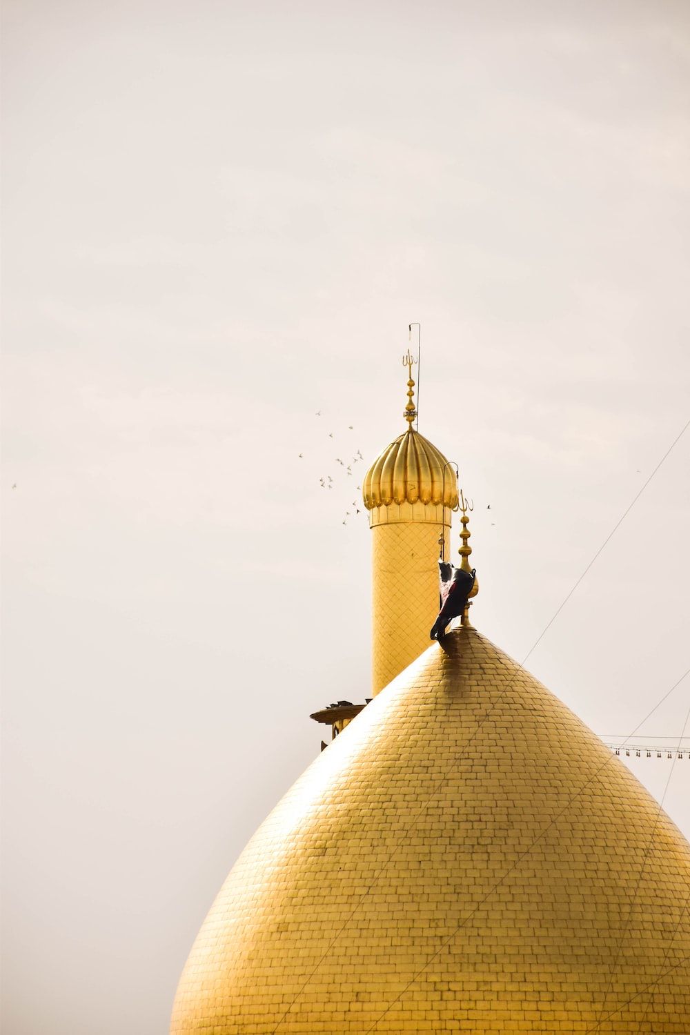 1000x1500 Imam Reza Picture. Download Free Image