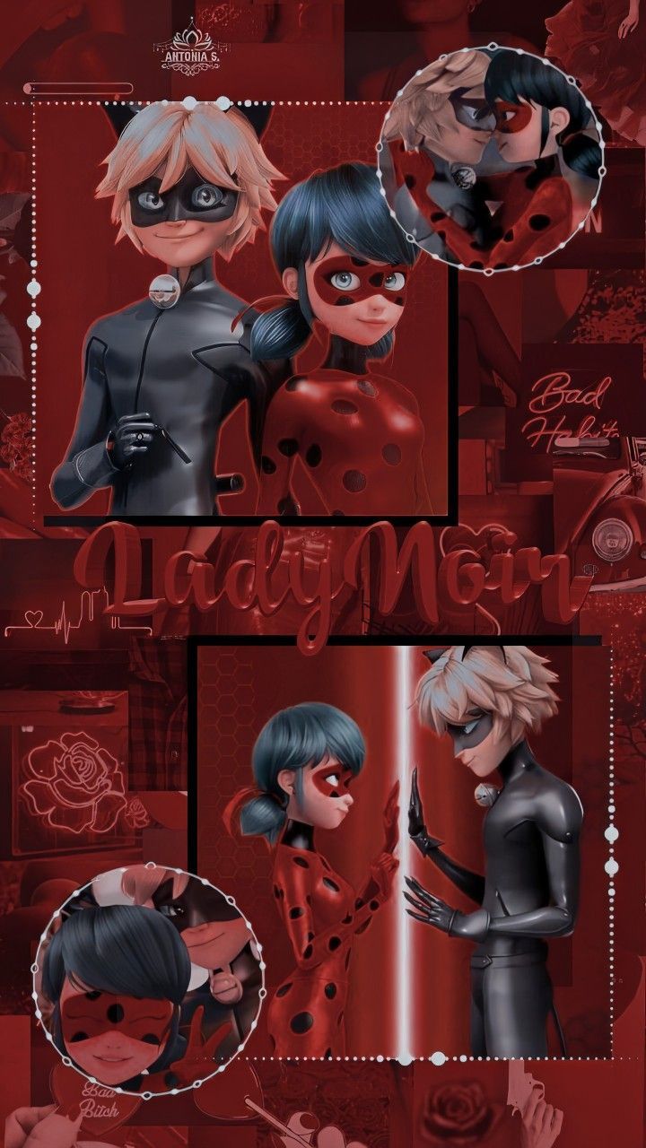 720x1280 Wallpaper lockcreens LadyNoir. Miraculous ladybug wallpaper, Miraculous ladybug anime, Miraculous ladybug movie