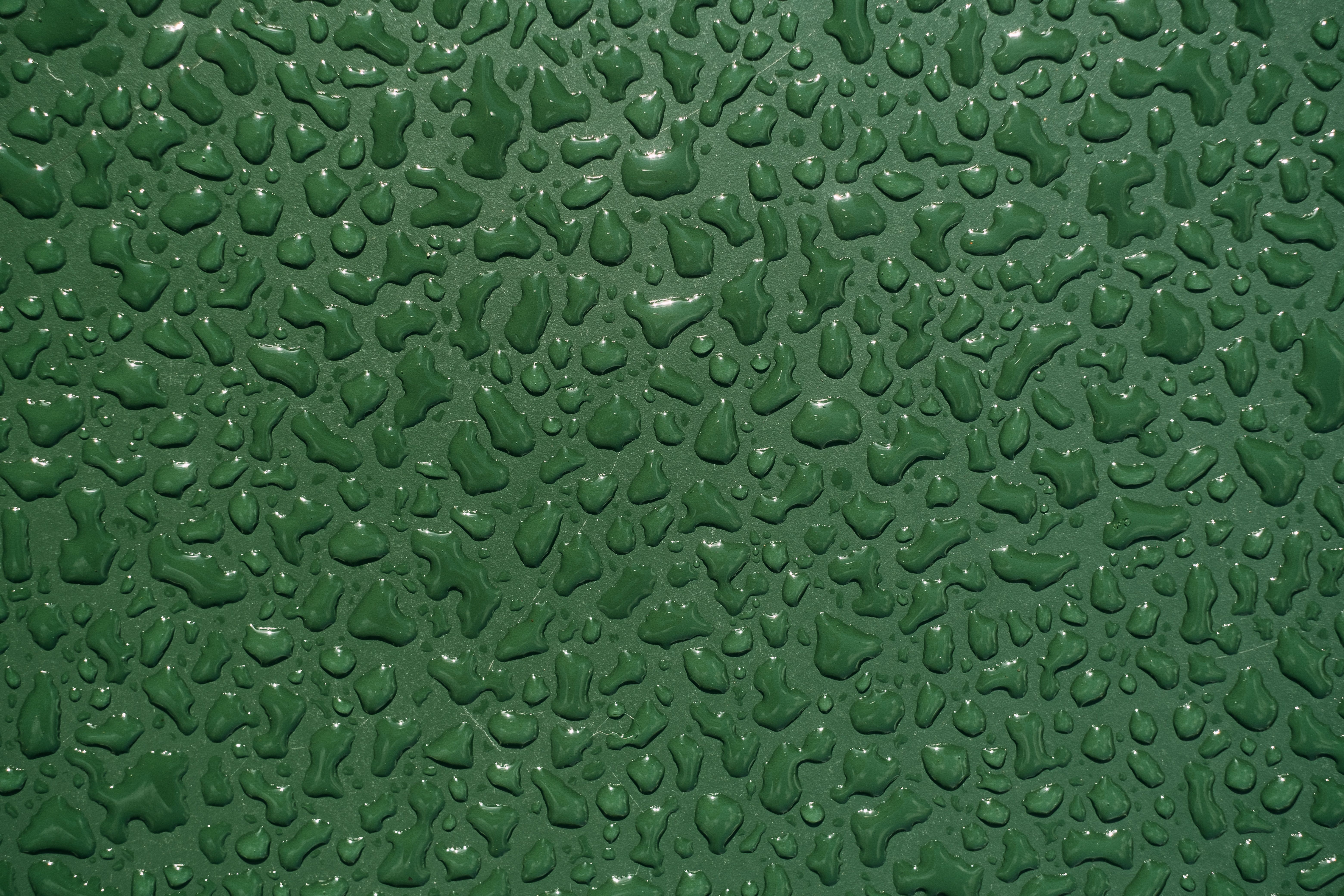 6240x4160 Green HD Wallpaper and Background