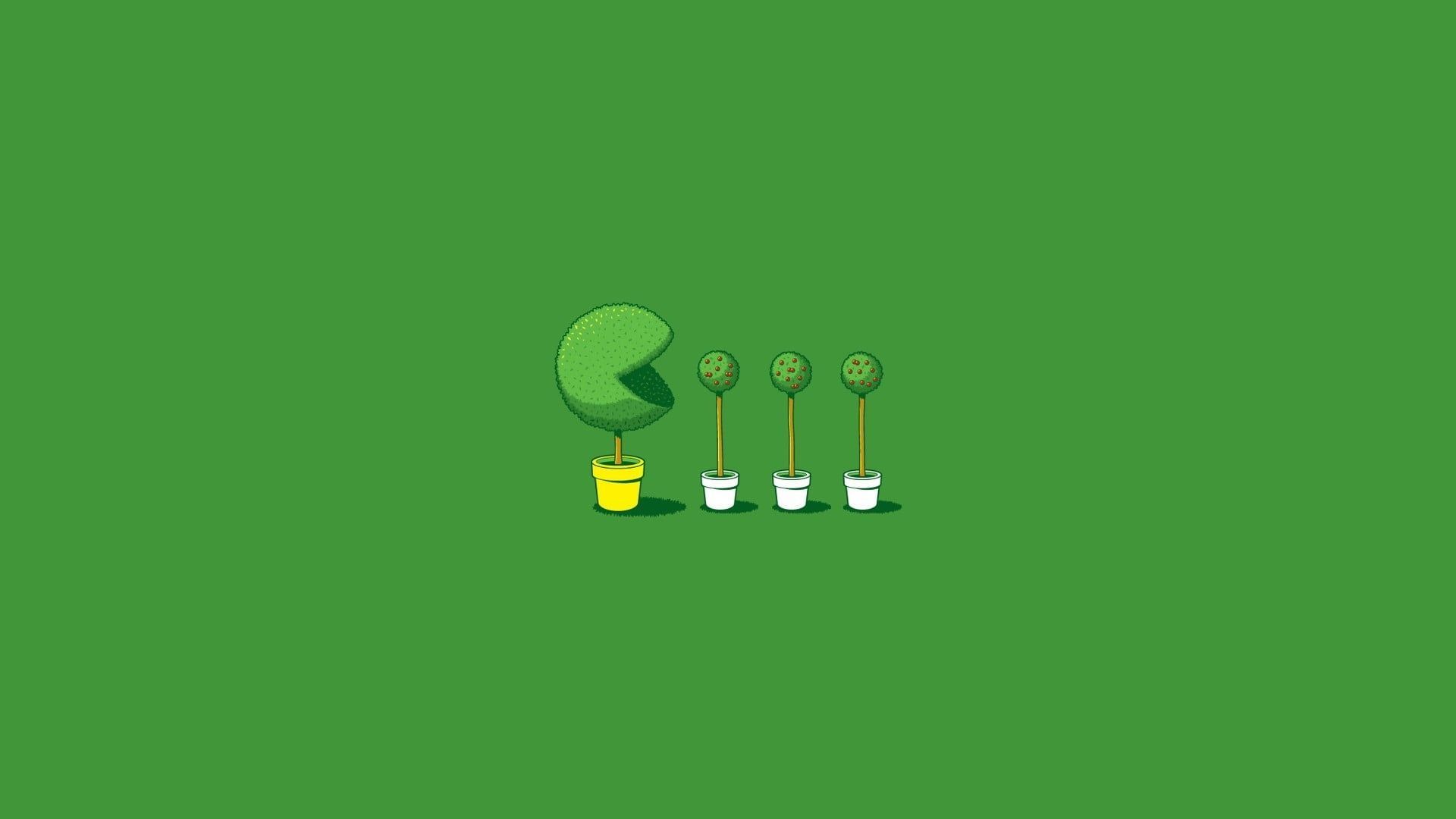 1920x1080 Best Green Minimalist Wallpaper For Desktop, PC, Laptop, Computer [ 4k, HD ]