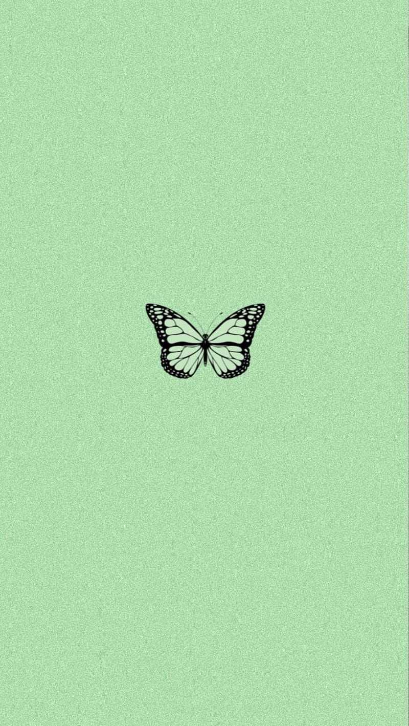 800x1418 Green Aesthetic Wallpaper