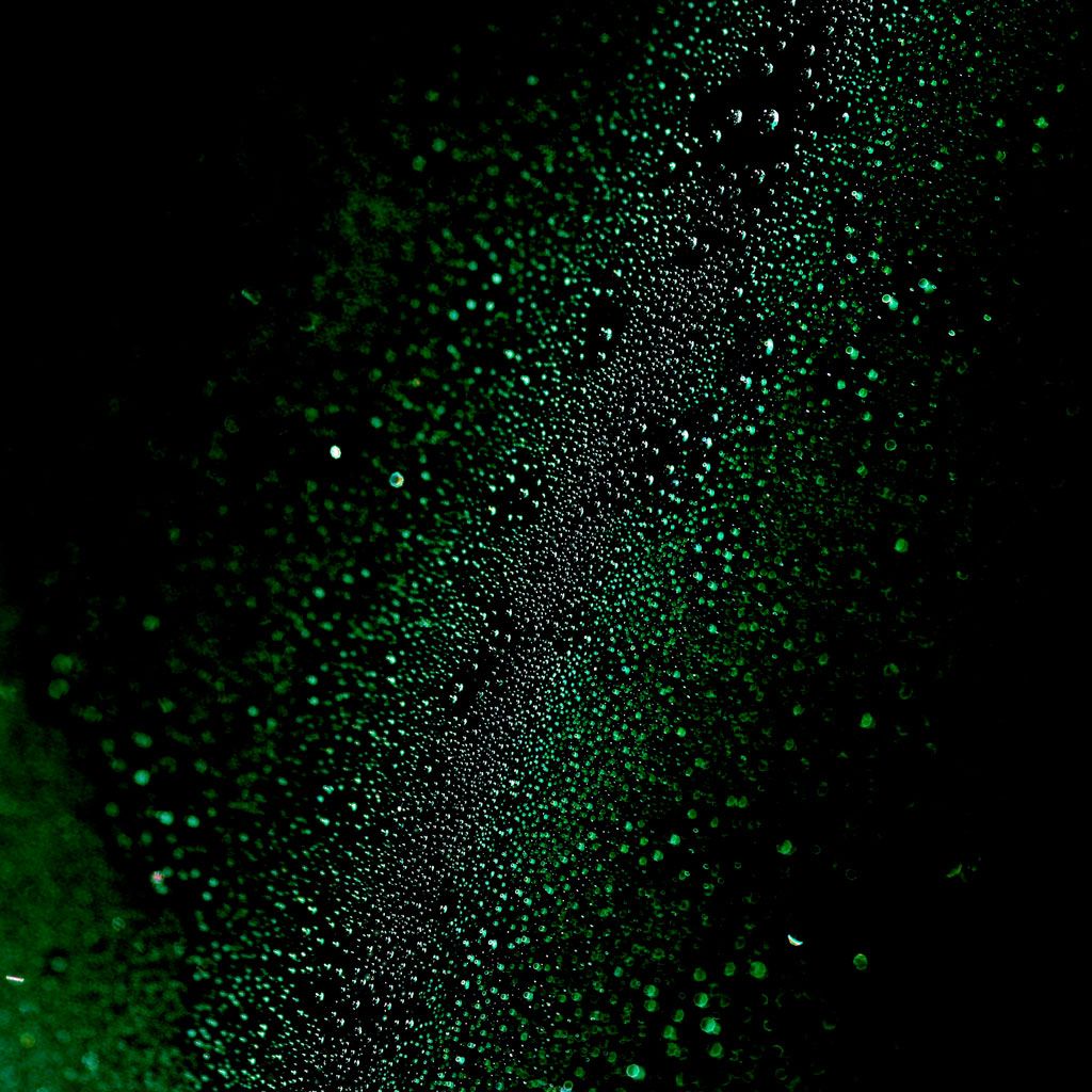 1024x1024 Free download TteQrEZsD5IAAAAAAs1600Black Green background ipad wallpaperjpg [1024x1024] for your Desktop, Mobile & Tablet. Explore Black and Green Desktop Wallpaper. Black And Green Background, Black And Green Wallpaper, Black