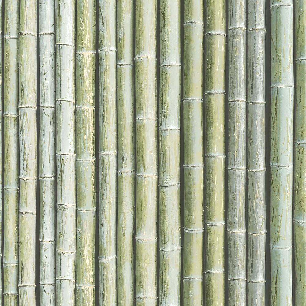 1000x1000 Bamboo Wallpaper
