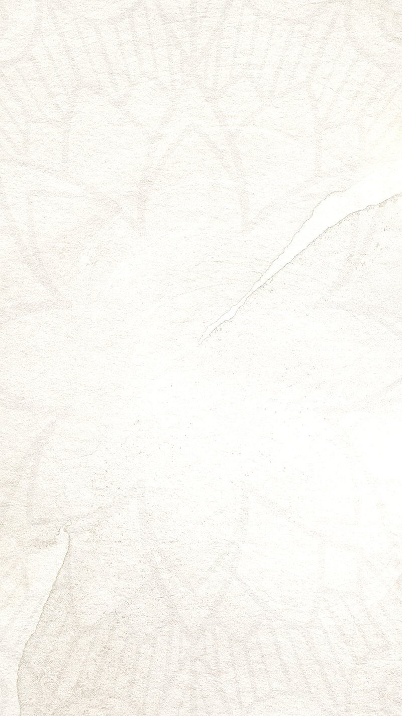 White Background Wallpapers Top Free White Background Backgrounds