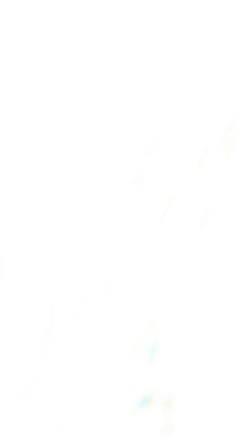 850x1511 Plain white background HD wallpaper