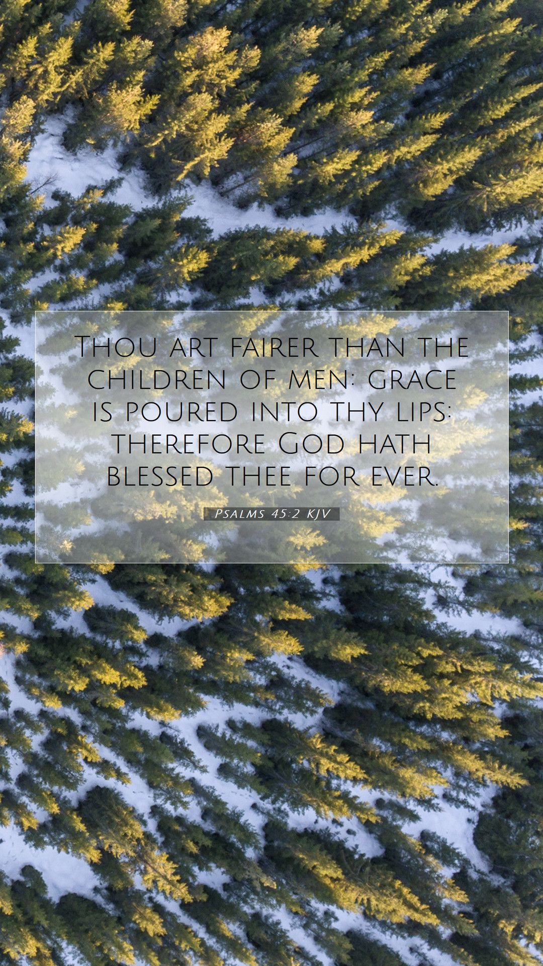 1080x1920 Psalms 45:2 KJV Mobile Phone Wallpaper art fairer than the children of men: grace
