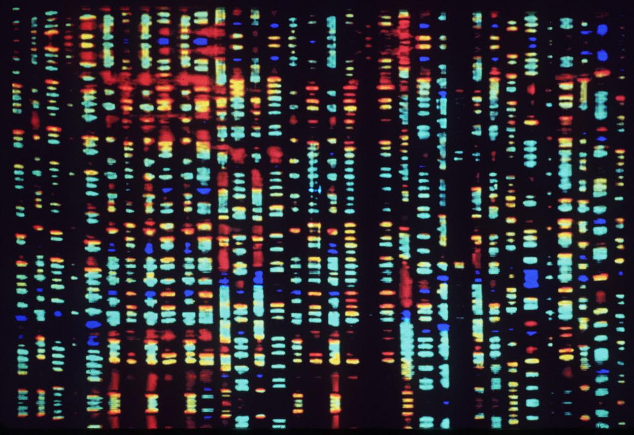 1280x879 Was the Human Genome Project a dud?