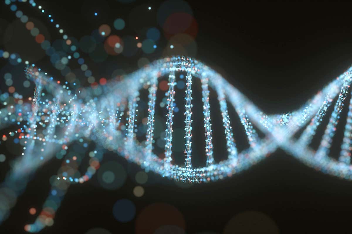 1200x800 The human genome has finally been completely sequenced after 20 years