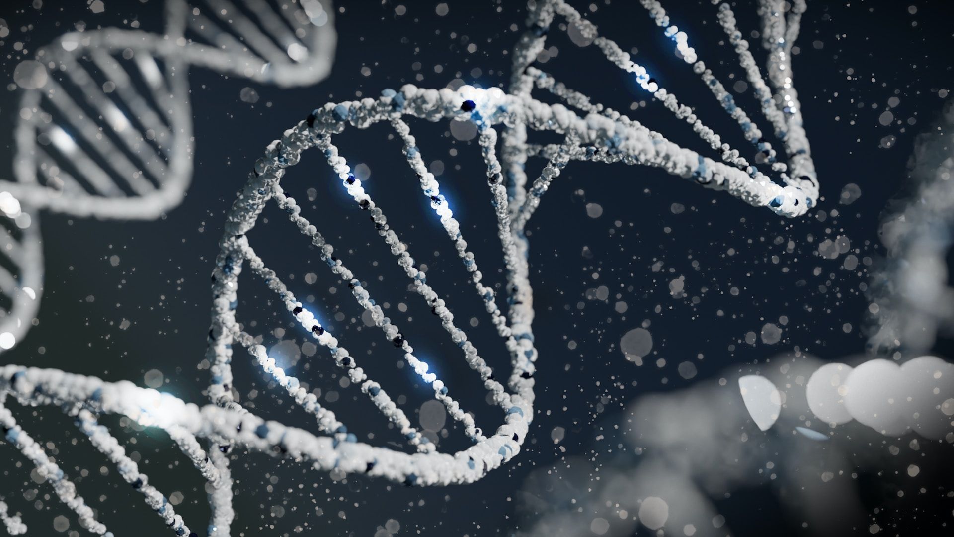 1920x1080 Happy Geno Versary! Celebrating 20 Years Of The Human Genome Project's Findings. The Healthcare Technology Report