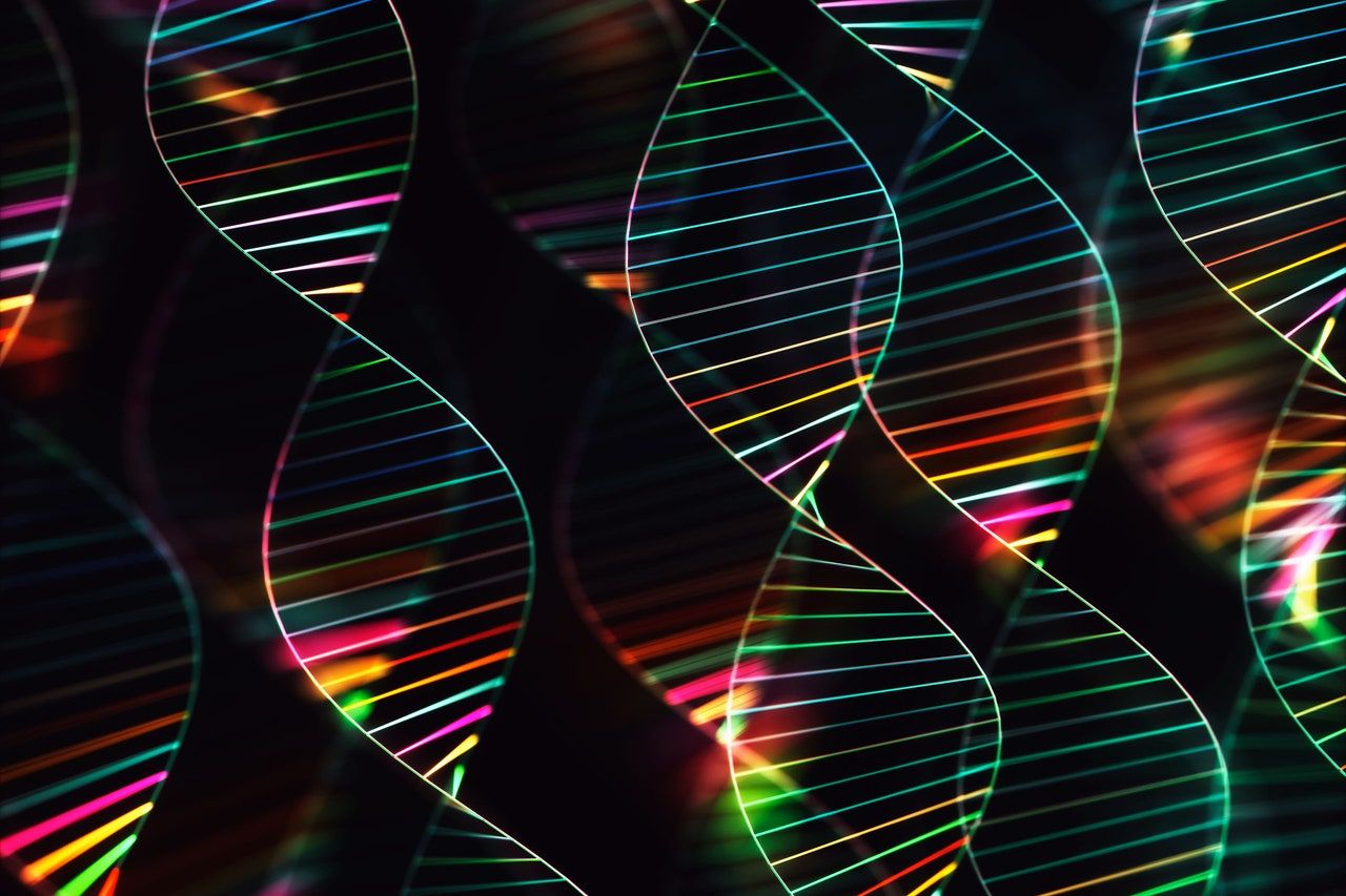 1280x853 Genomics. Latest News, Photo & Videos