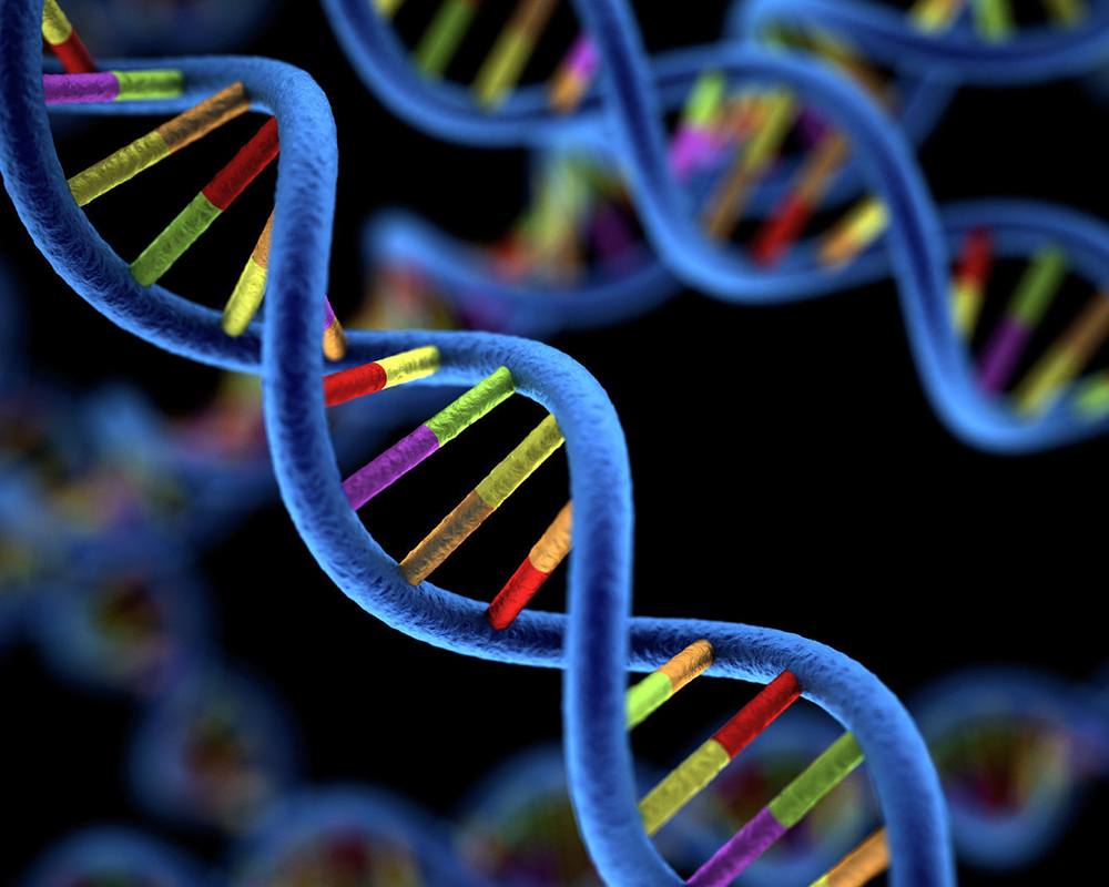 1000x800 Genomics HDF Group