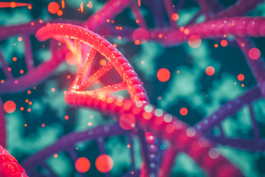 1116x744 Genome Wide Screens Could Reveal The Liver's Secrets. MIT News. Massachusetts Institute Of Technology