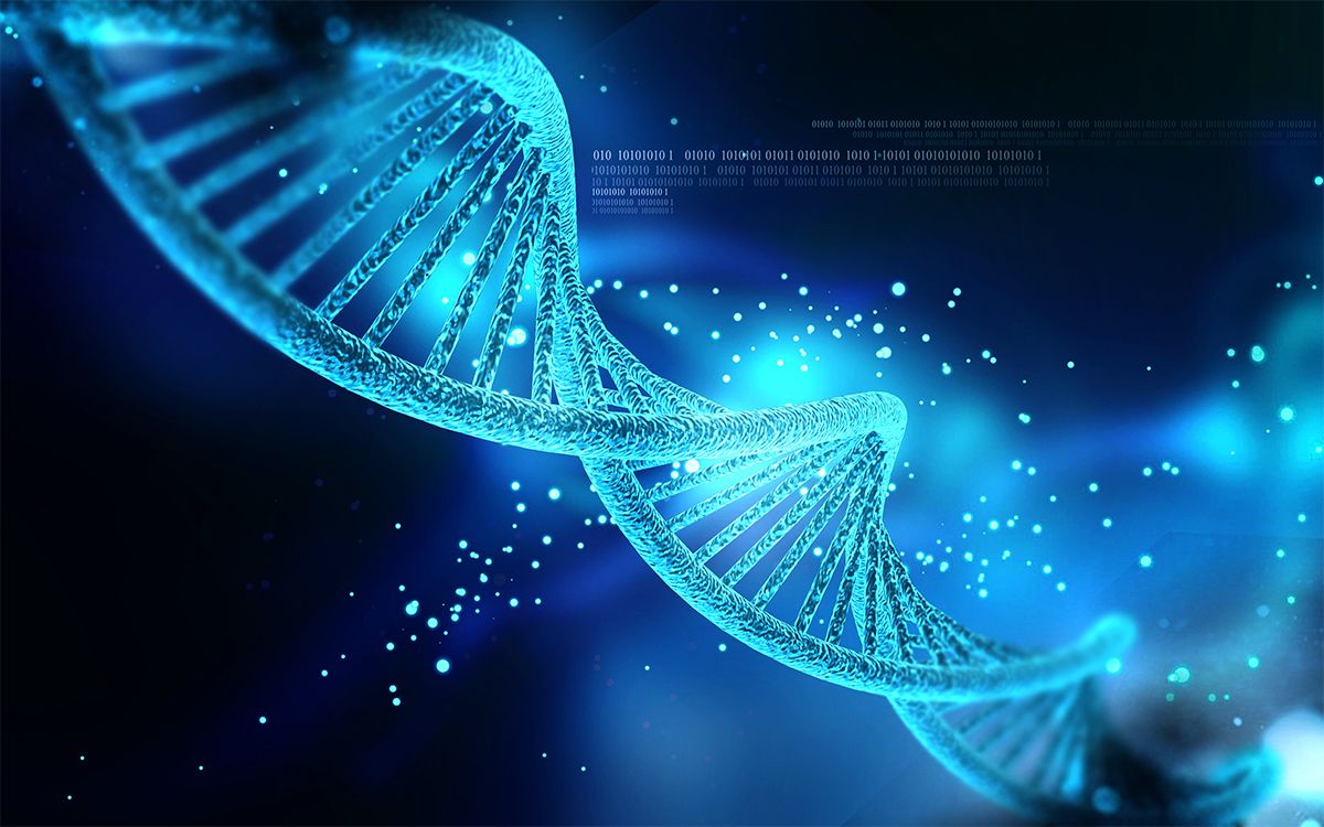 1200x750 Data Processing Software Applied to Human Genome