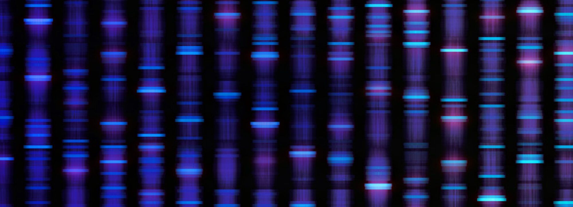 2000x724 Genome Decoders