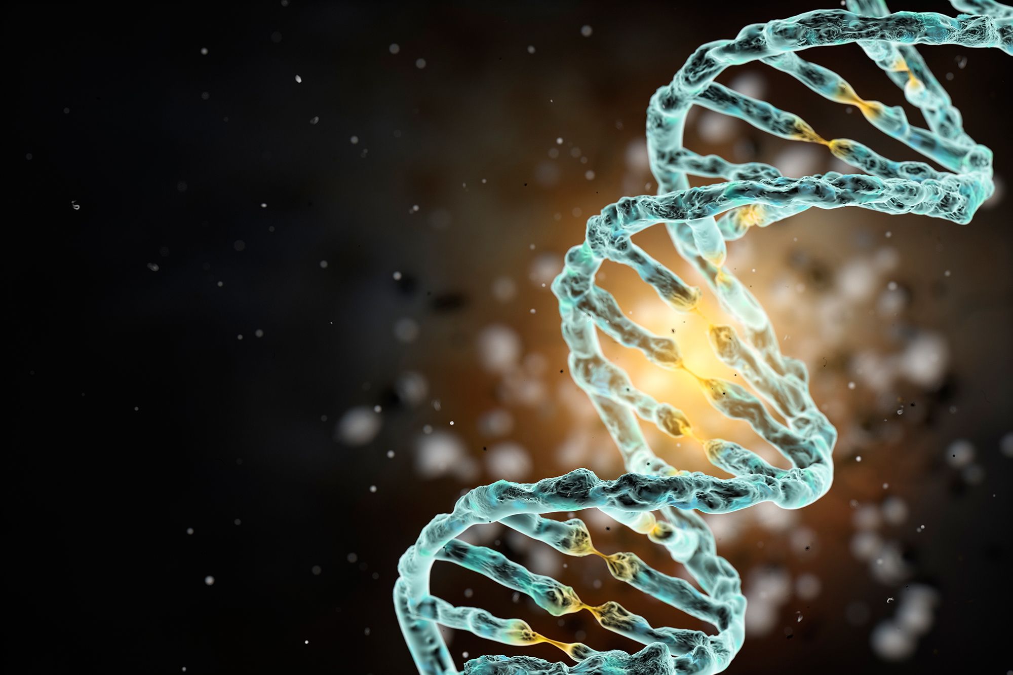 2000x1332 Scientists Want To Create A Synthetic Human Genome : Shots