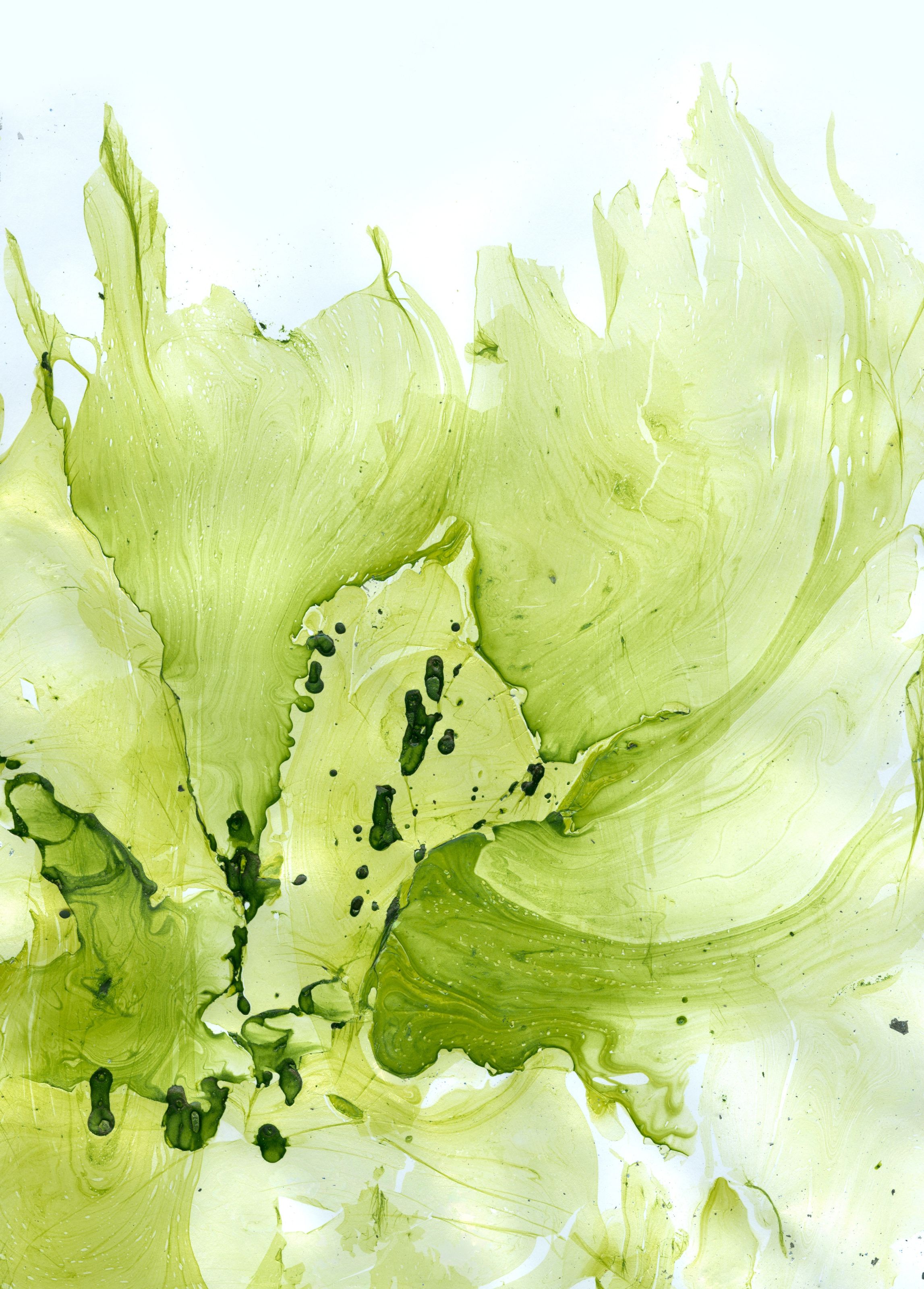 2294x3200 Green Watercolor Splash Mural Your Way