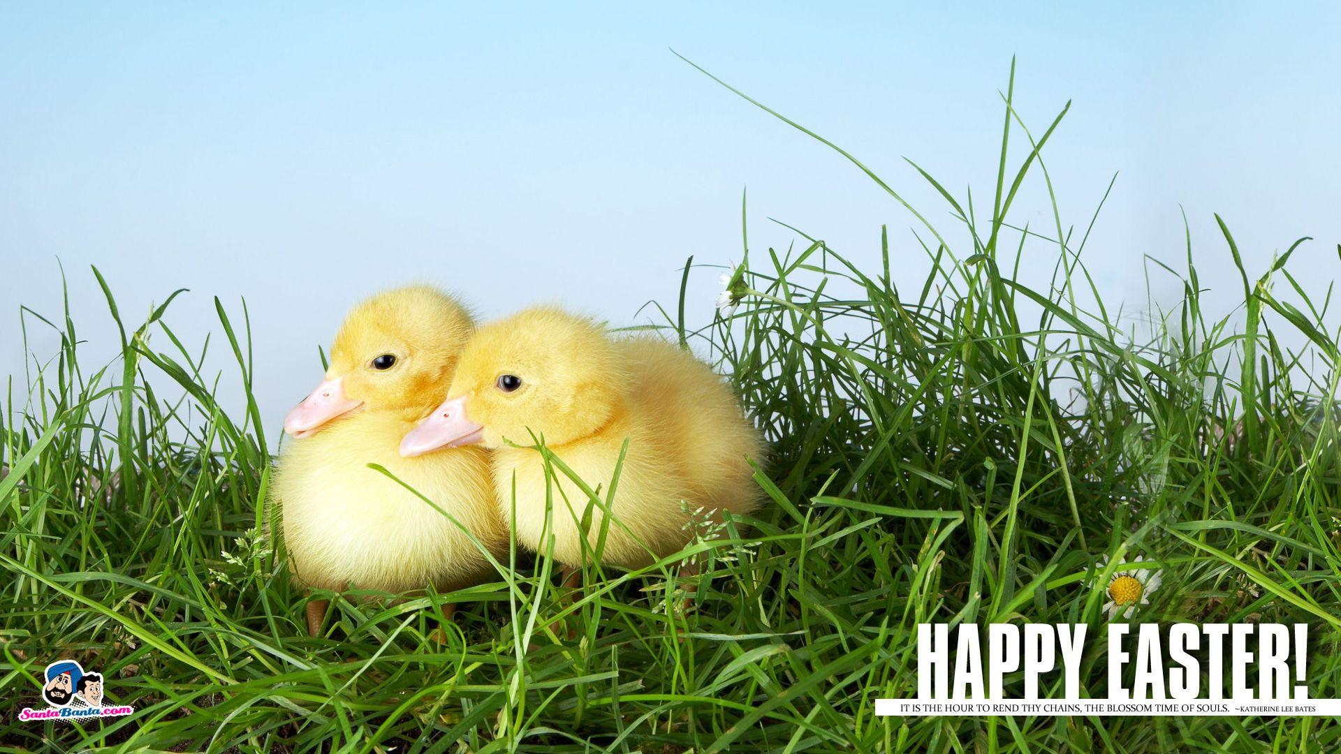 1920x1080 Easter 2018 Wallpaper