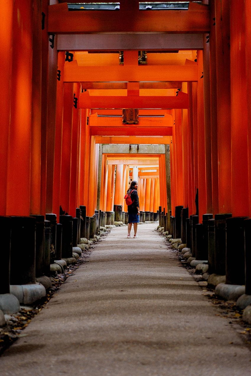 850x1275 Fushimi Inari Taisha, Kyoto, Japan HD phone wallpaper