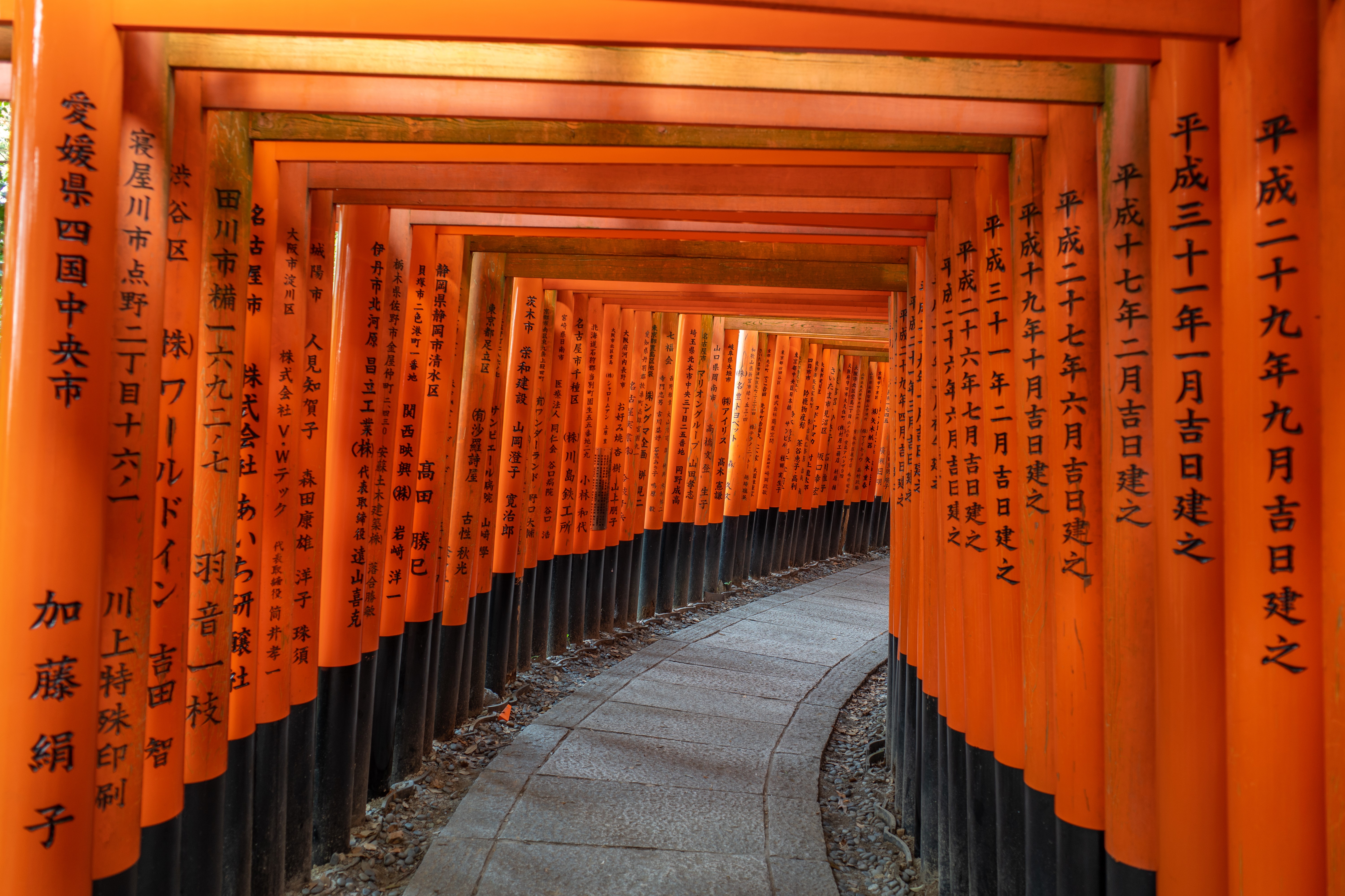 6000x4000 4K, Asia, Torii, Fushimi Inari Taisha, Japan, Kyoto, Asian Architecture, Pathway Gallery HD Wallpaper
