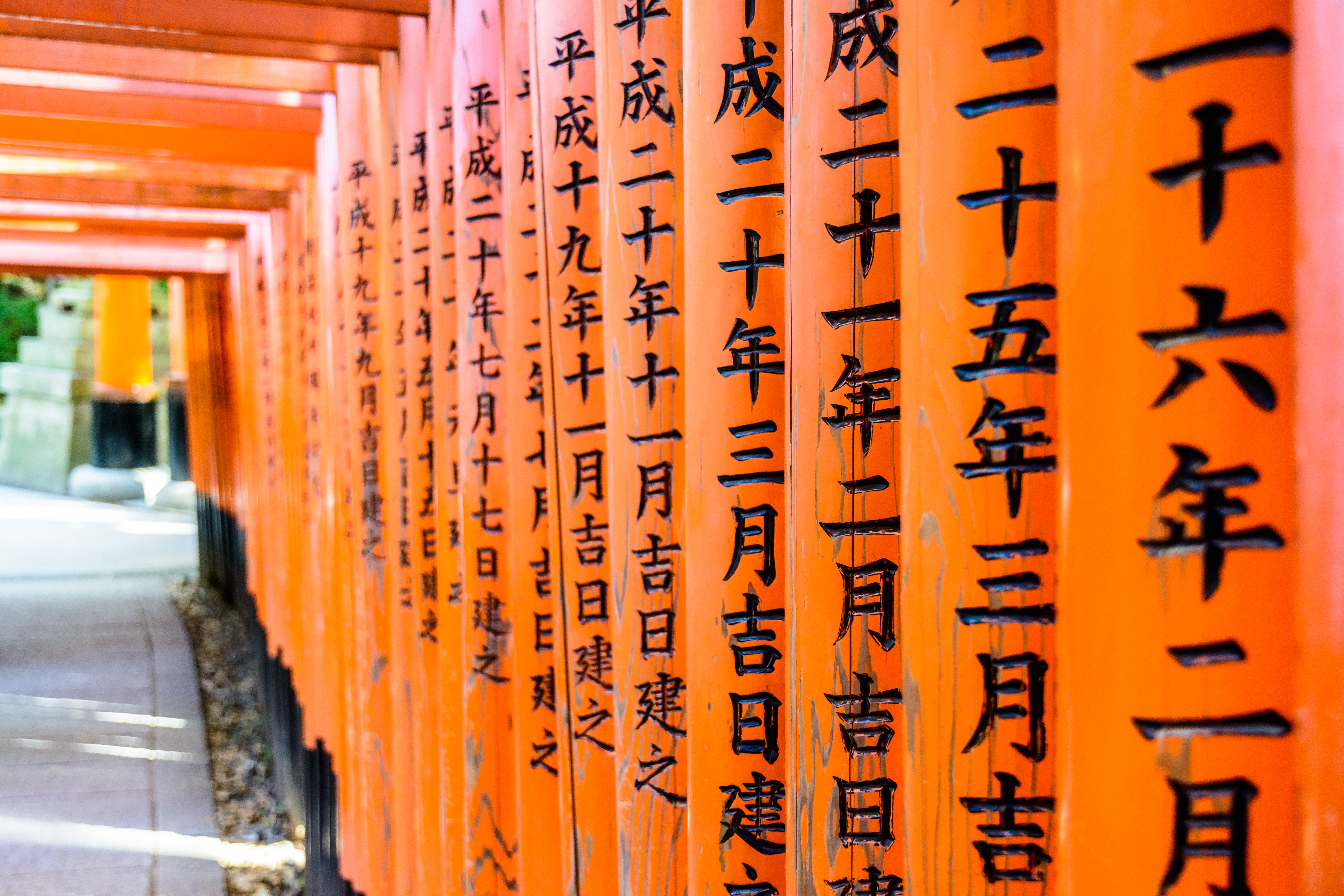 6000x4000 Fushimi Inari Taisha HD Wallpaper And Background