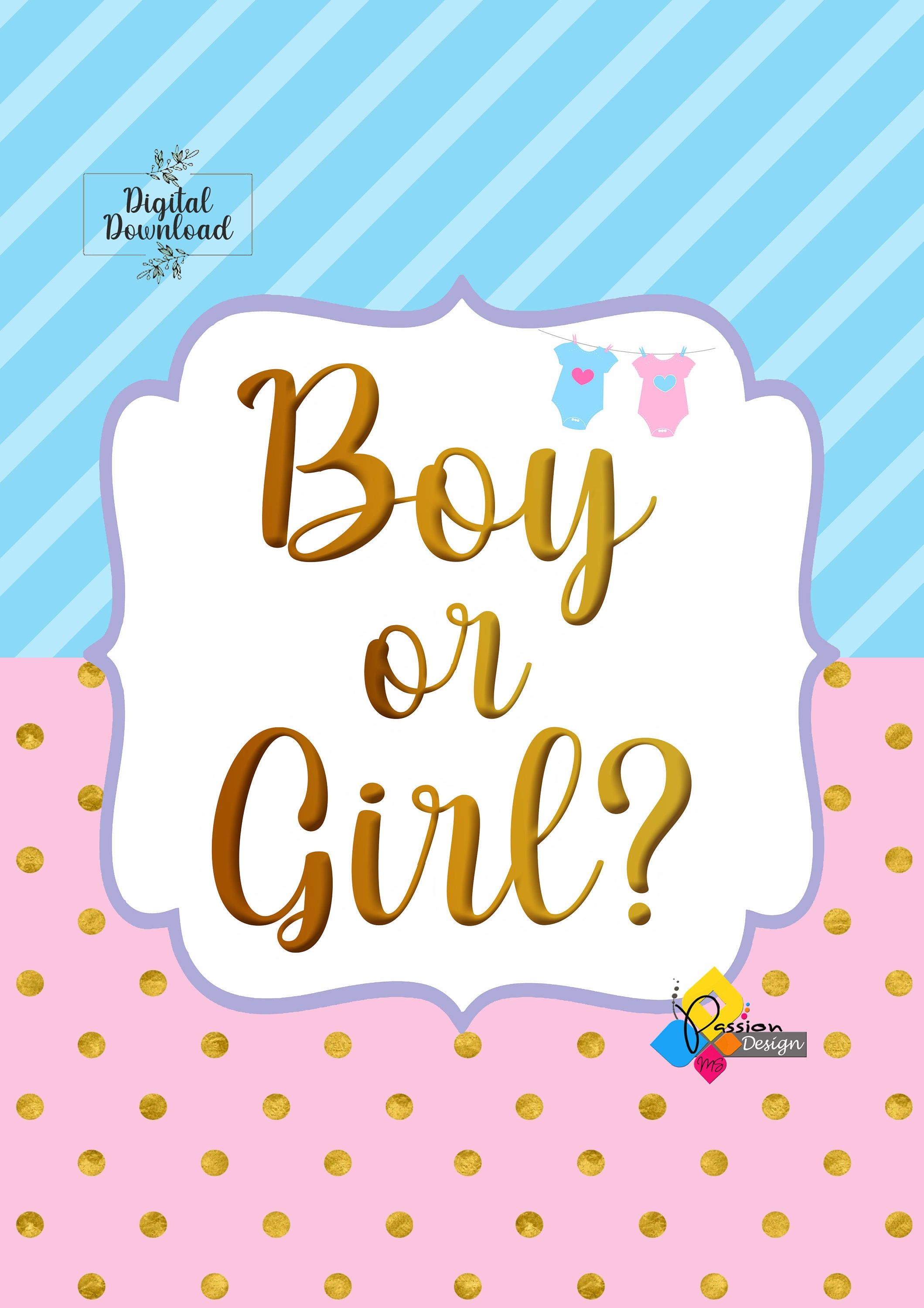 2119x3000 Printable Boy or Girl GENDER REVEAL Welcome Board. Boy or Girl