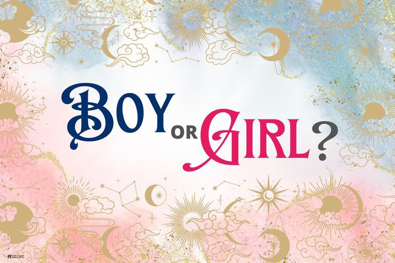1280x854 Laminated Gender Reveal Poster Boy or Girl Him or Her Baby Party Decorations Supply Supplies Stuff Little Star Cute Design Blue Pink Ideas Photo Picture Welcome Banner Poster Dry Erase Sign 16x24